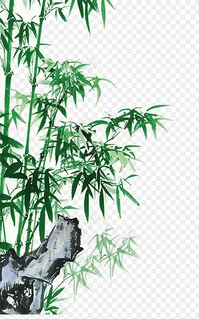 在今头条怎么发文章,在今日头条写文章怎么配图