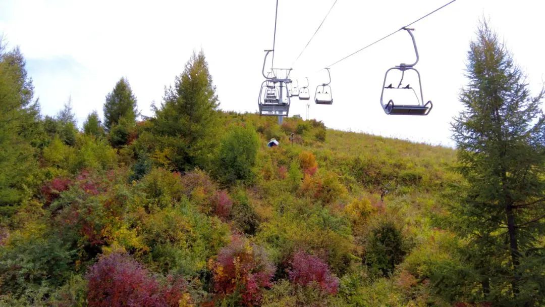 速收！兰州出发，临夏太子山旅游大通道及3-5日大环线自驾游攻略！