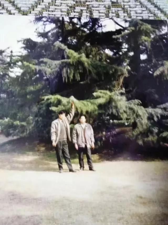 入学前入学后变化,上学前后的对话