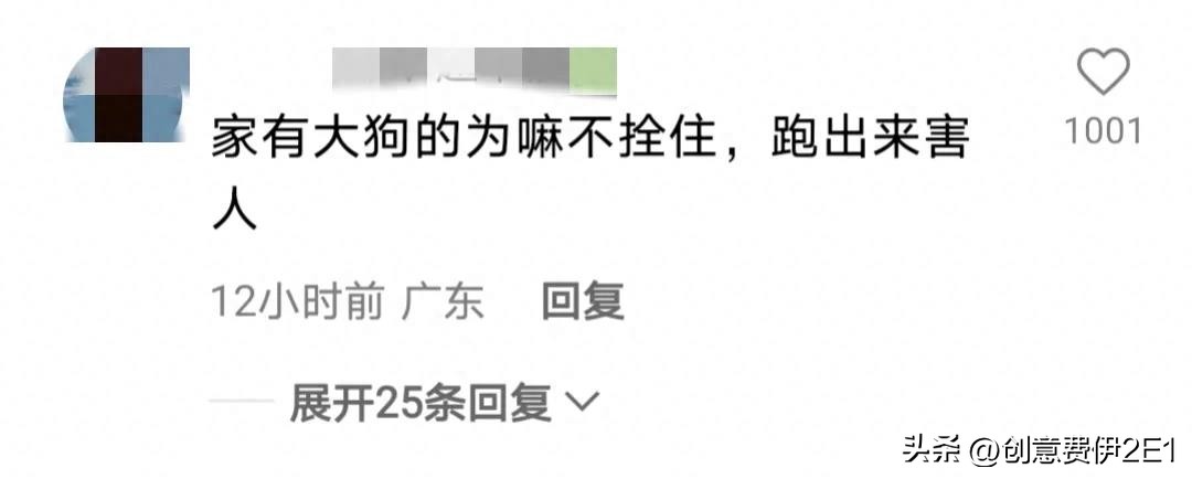 女生夜跑被恶犬咬伤后续,女子夜跑被恶犬咬伤在哪个部位