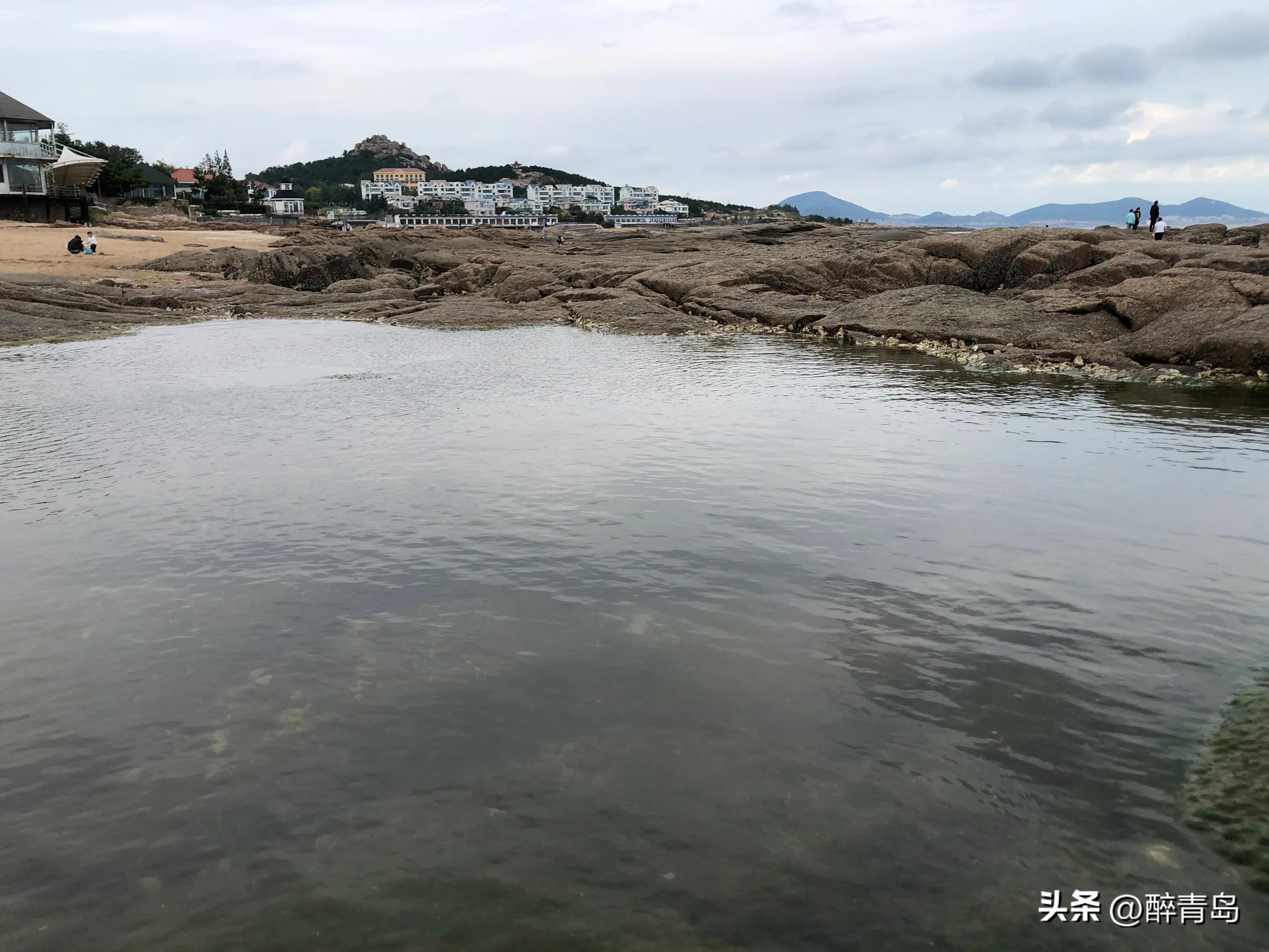 与小海鲜们捉迷藏（篇二）