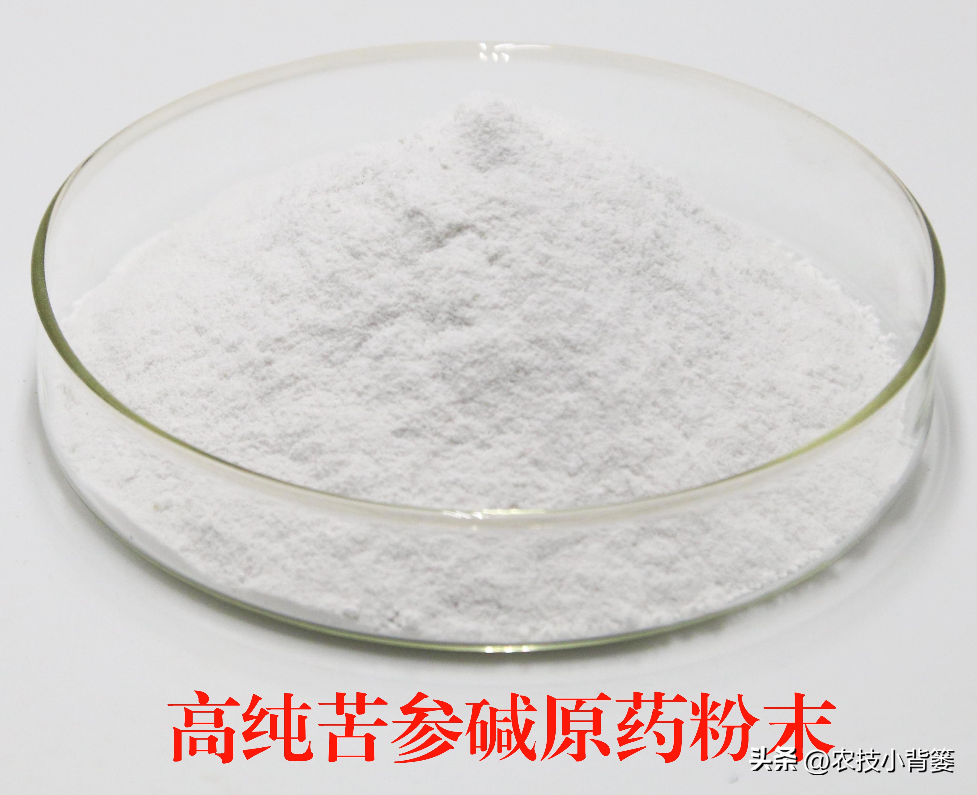 公认最好的对植物无害杀虫剂,植物广谱杀虫剂