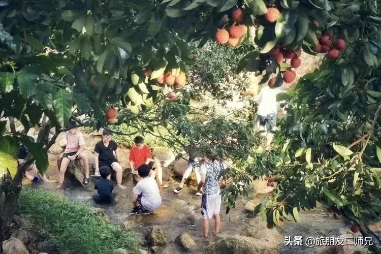 南平静修小镇凤溪玩水,南平静修小镇凤溪玩水区订票