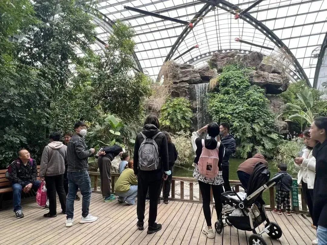 天津房车公园露营基地,一张天幕露营