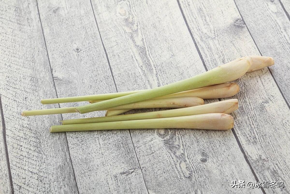 香茅不是所有人都喜欢吃,香茅有什么特有的味道