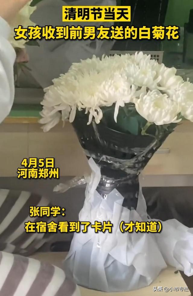 清明节送前女友白花,清明节和女朋友分手了