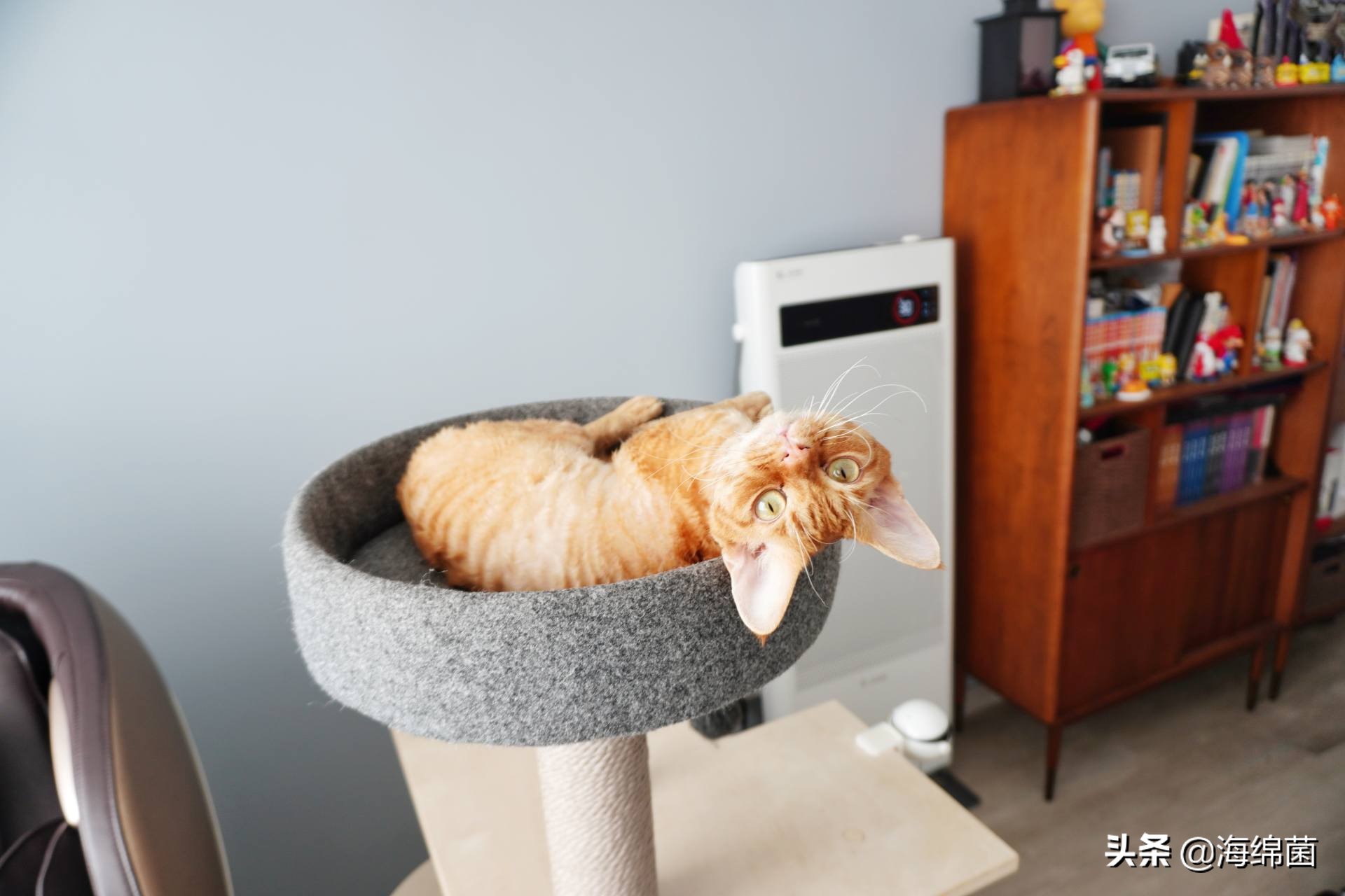 电暖气实测温度,冬天暖气实测