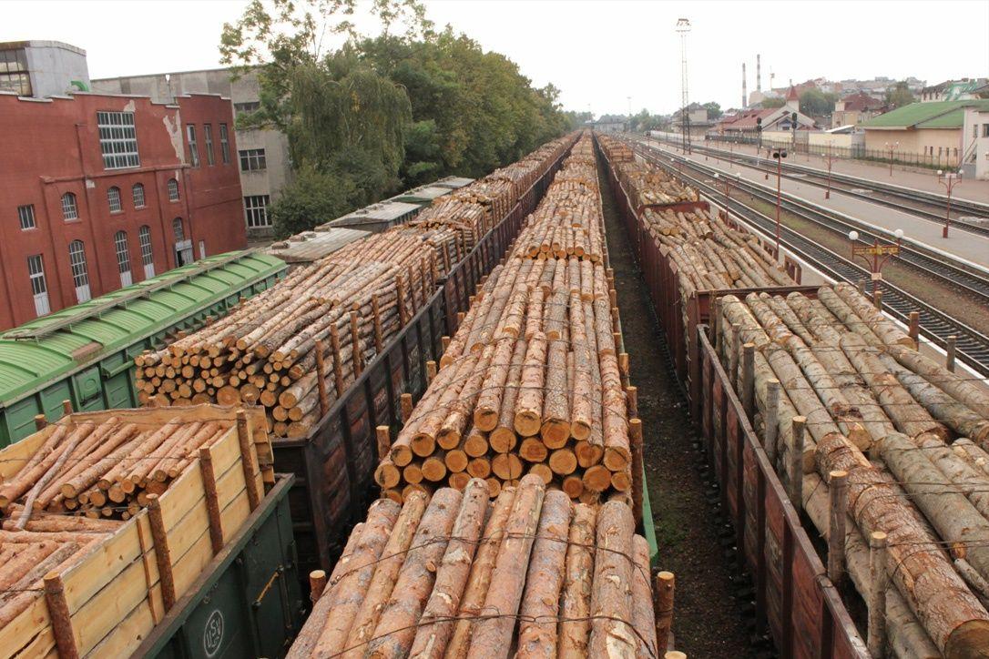 32张照片看真实的俄罗斯,50张照片带你见识日本