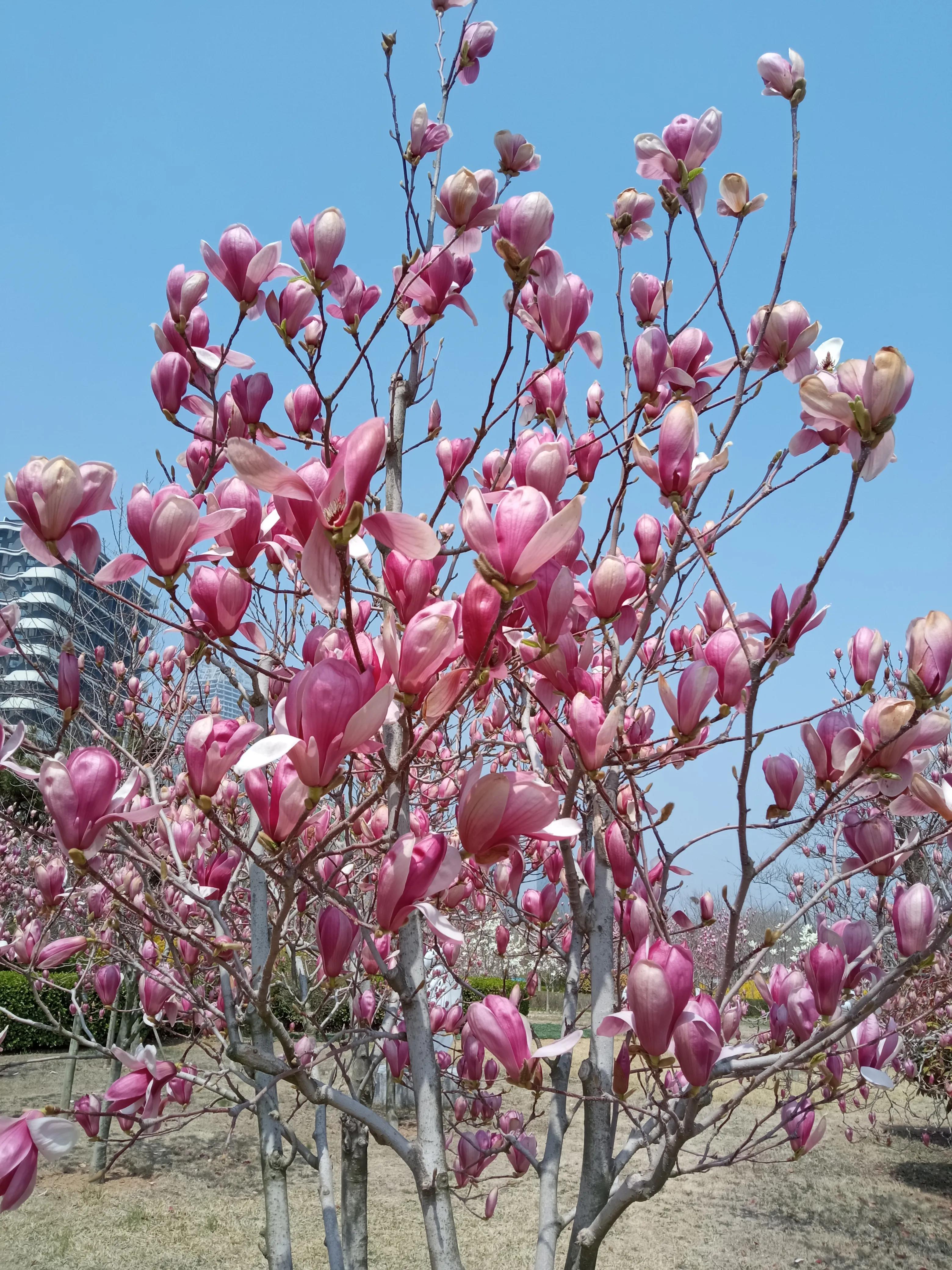 一个令人愤怒的事情,今天遇到了一件很郁闷的事