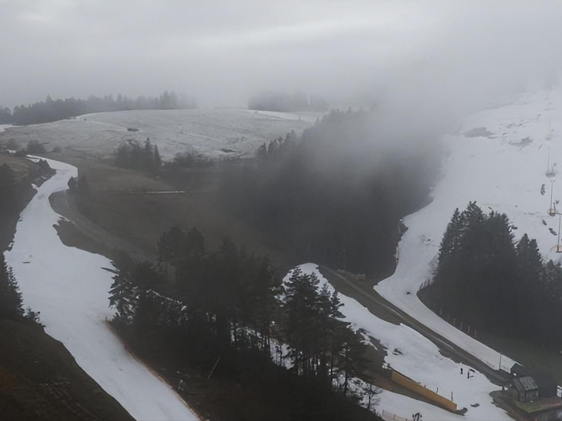 京东国际买手店如何上架国产,京东国际入驻审核
