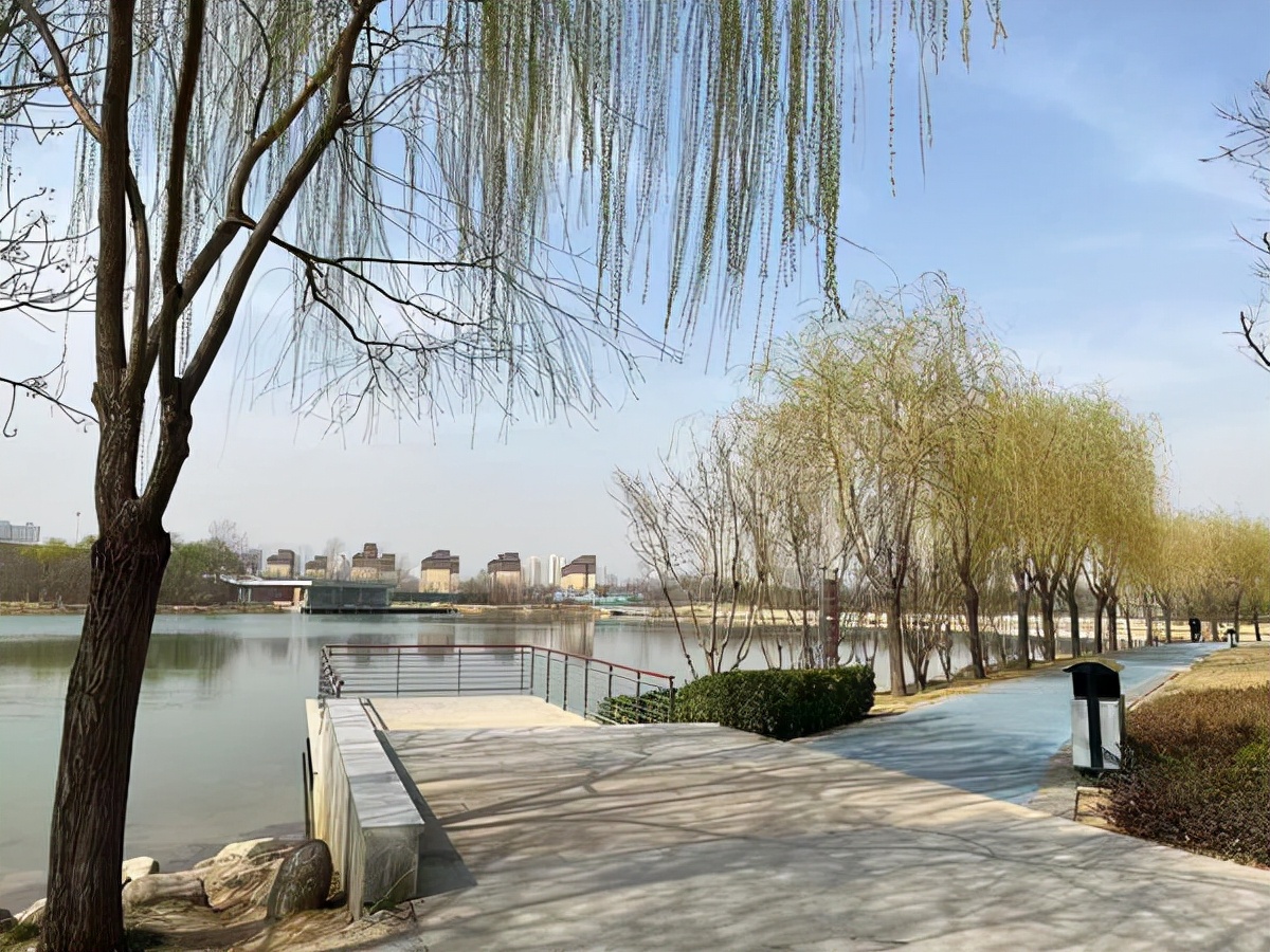 足球入场费,郑州足球场草坪费用