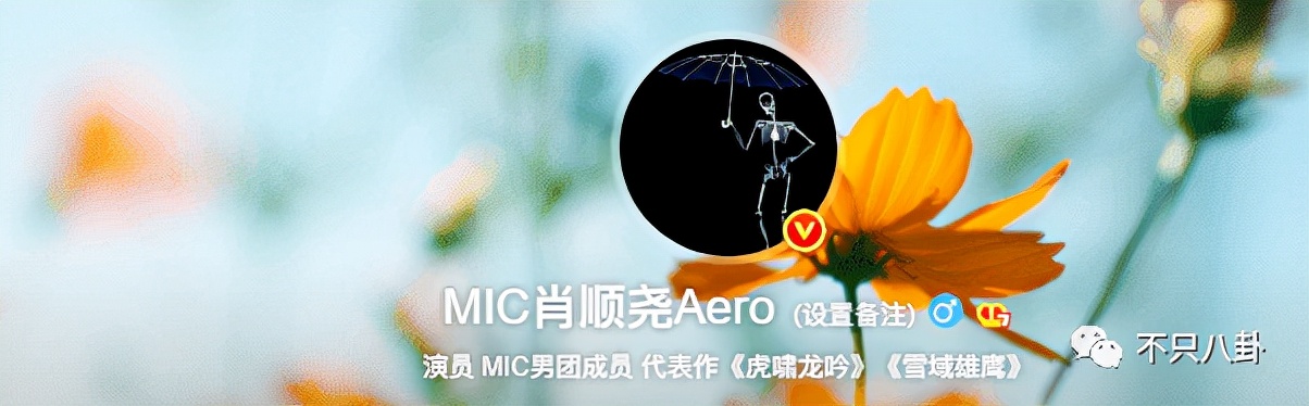 好甜，她嫁给自己的漫画主人公啦