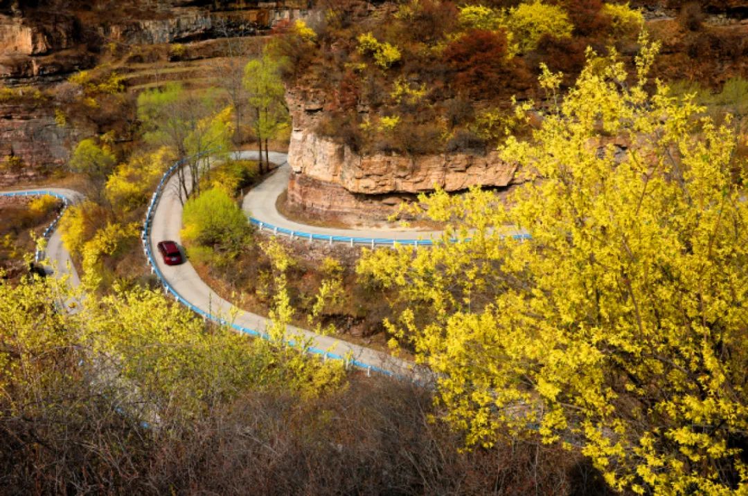 半价门票,景区免票半价
