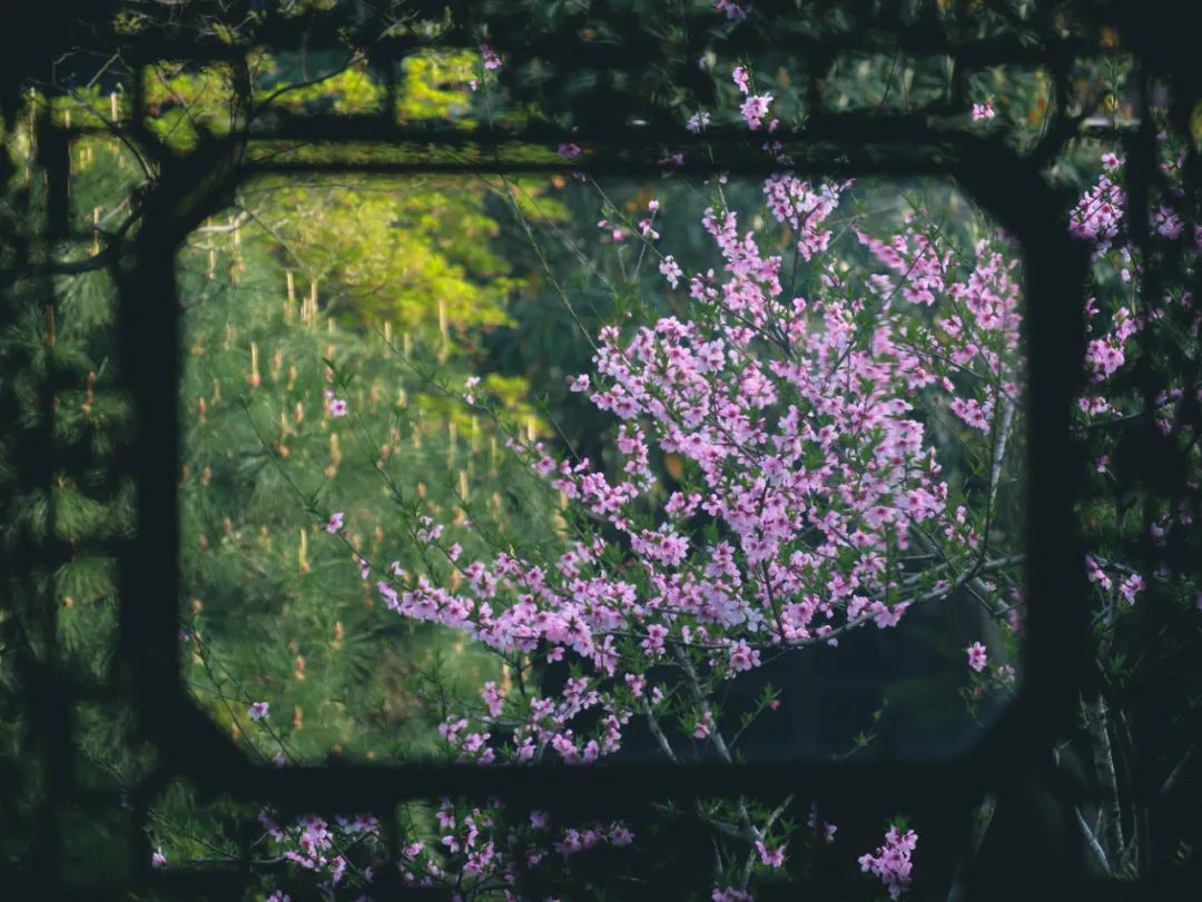 江南最美的城市,江南最好的风景城市