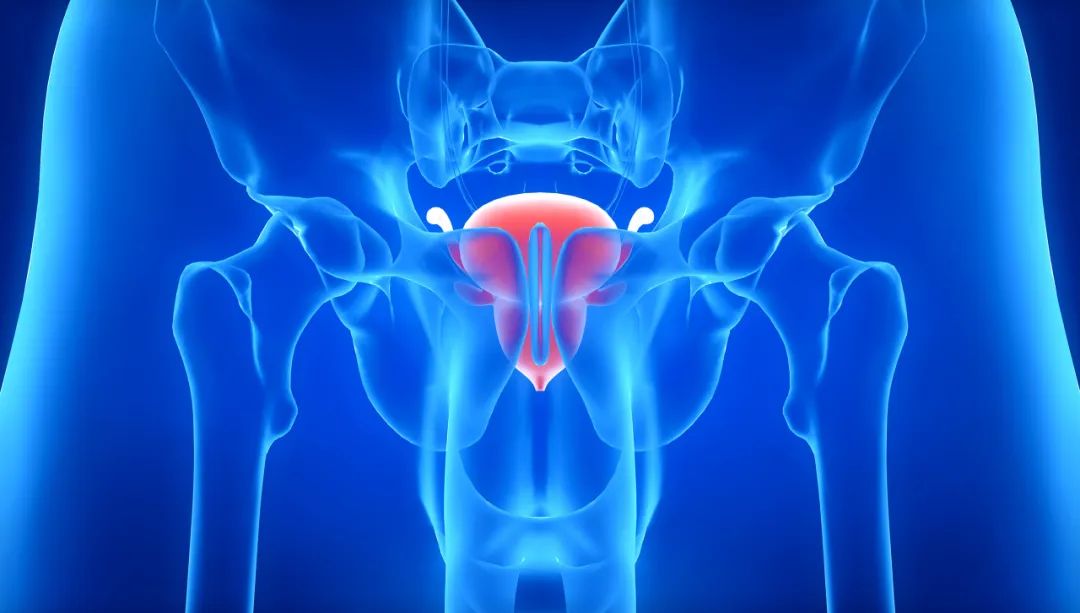 怎样知道前列腺炎症状,前列腺炎怎么知道痊愈了