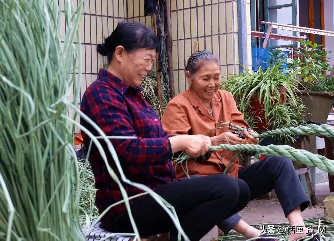 茭白新鲜生吃可以吗,新鲜茭白可以冷冻有酸味