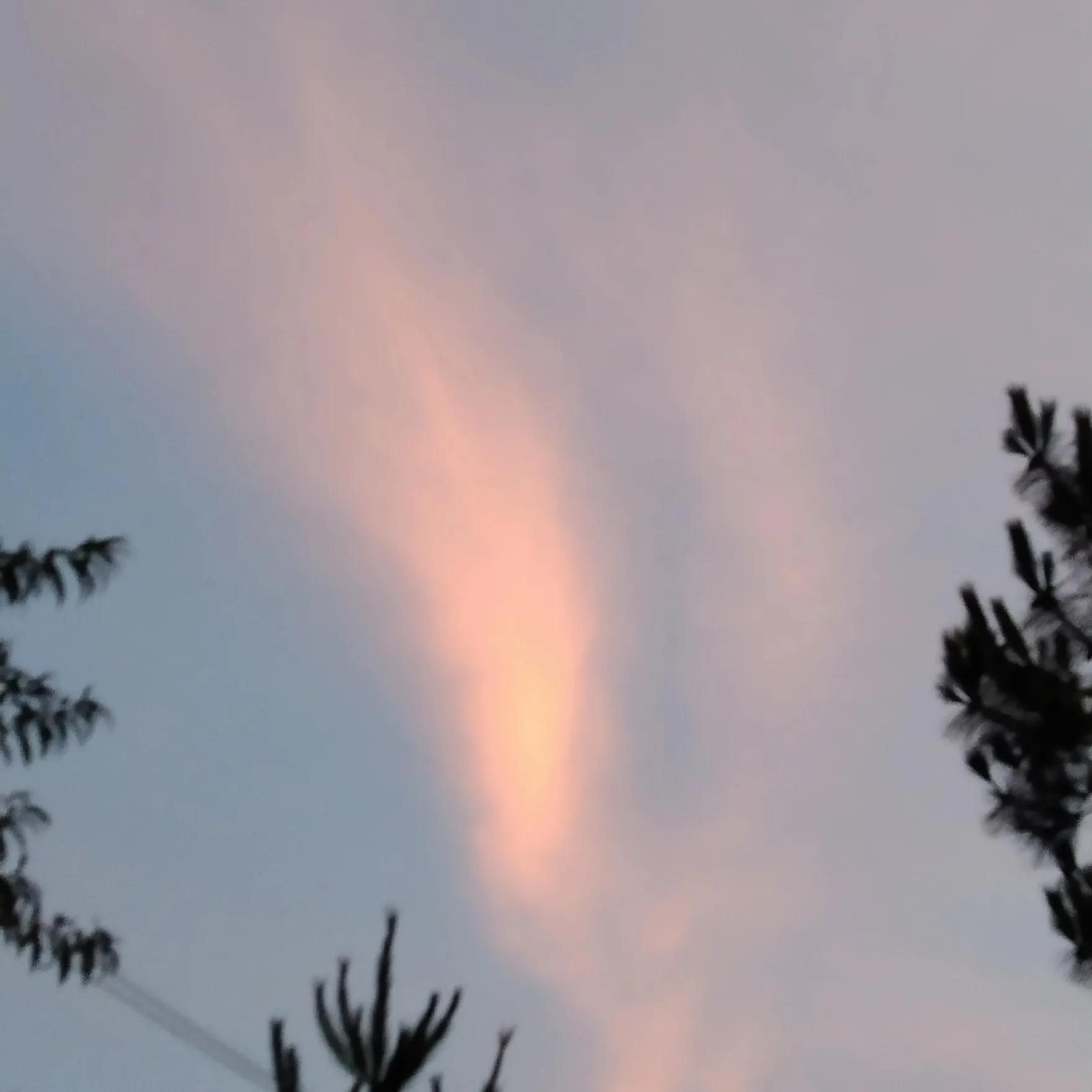 日历进梅的日子怎么算的,日历上入梅和出梅是代表什么