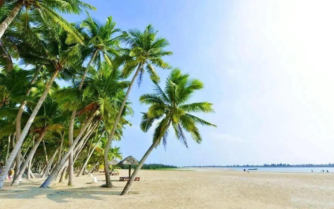 海南晴天的沙滩,海南阳光下的海