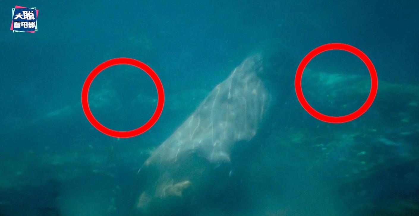 龙之家族7集,龙之家族7集深度解说