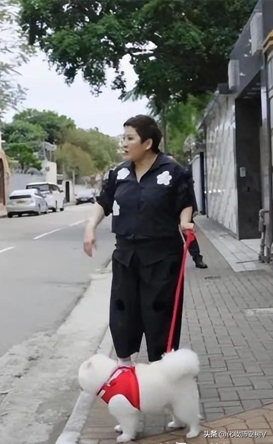 向太穿衣视频,向太遛狗