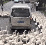 现在生意都难做的高情商回复,最近生意太好了高情商回复