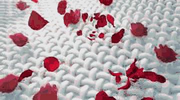 衣服清洗完后老粘毛,陈旧衣服如何洗焕然一新