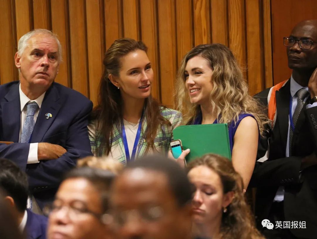 威廉凯特大婚,威廉凯特婚礼王室标准照