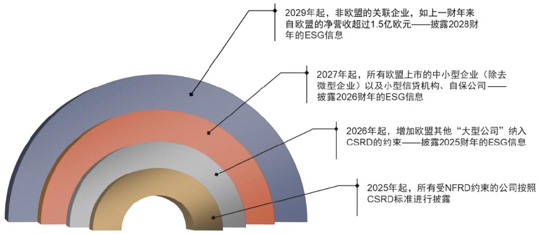涓噾ibd缁勭粐璋冩暣,涓噾esg閮ㄩ棬