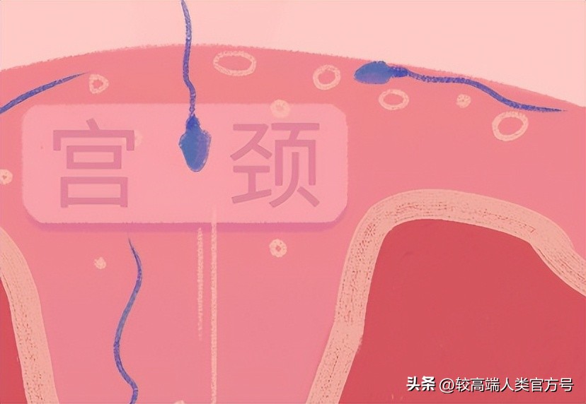 “一夜情”怀孕的几率有多大？男人该如何判断孩子是不是我的？