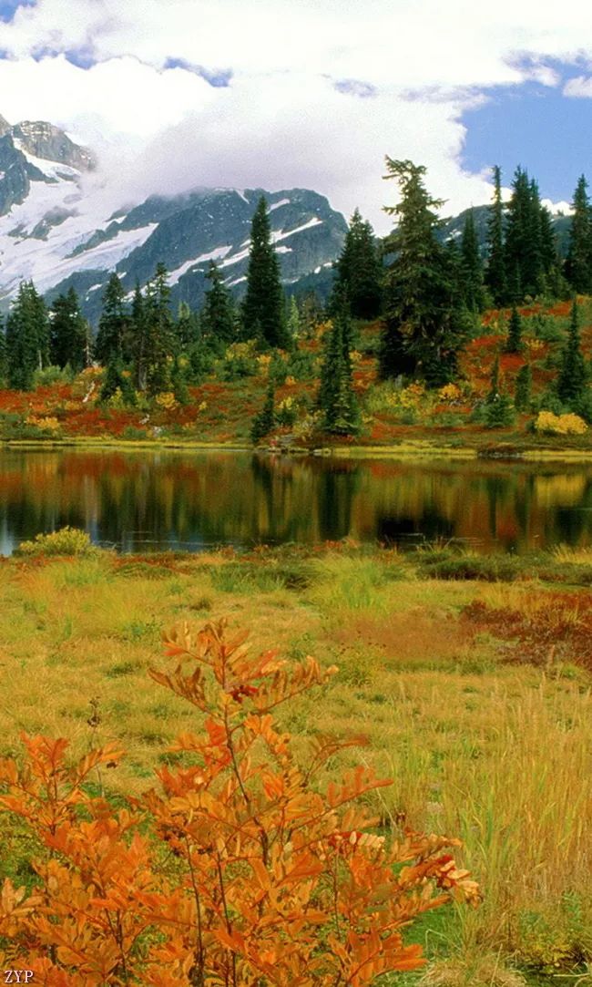 太美了100张人间美照,太美了最美中国红