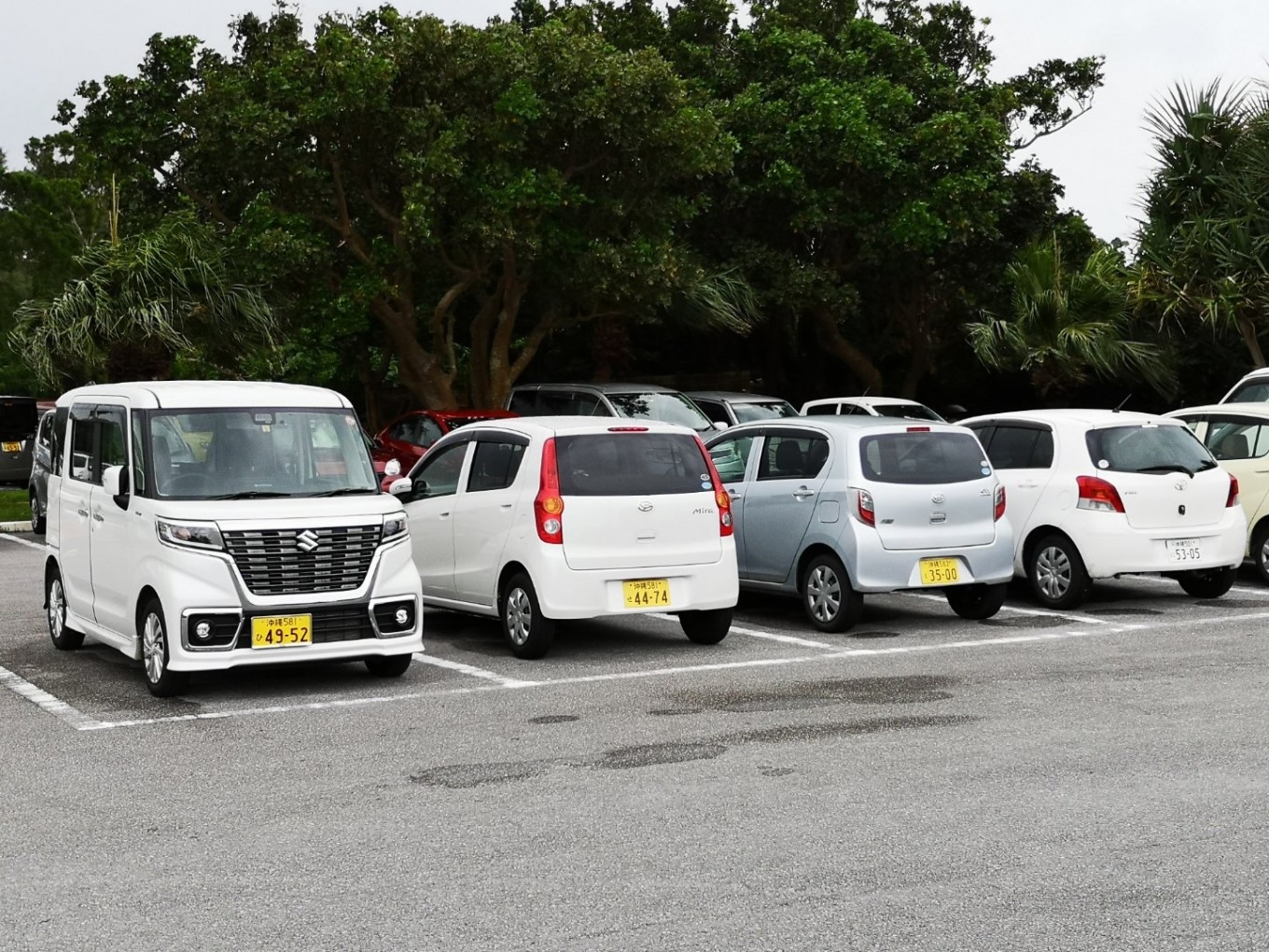 暑期档2019年,2019年暑期档