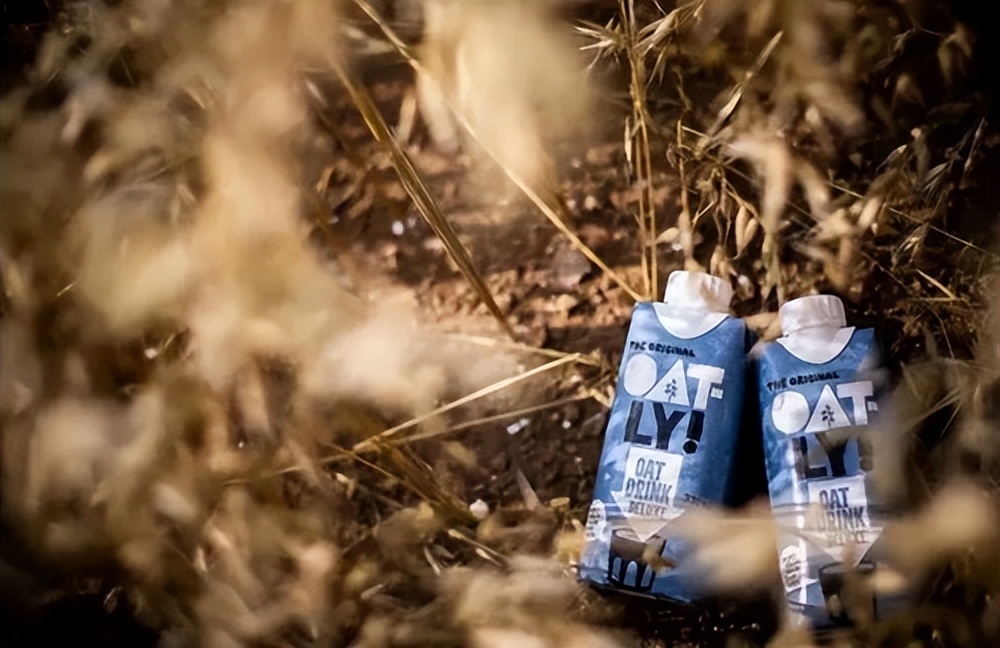 燕麦奶为什么招人喜欢