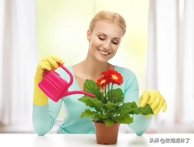 退休生活丰富多彩的赞美句子,退休后的生活越简单越有福气