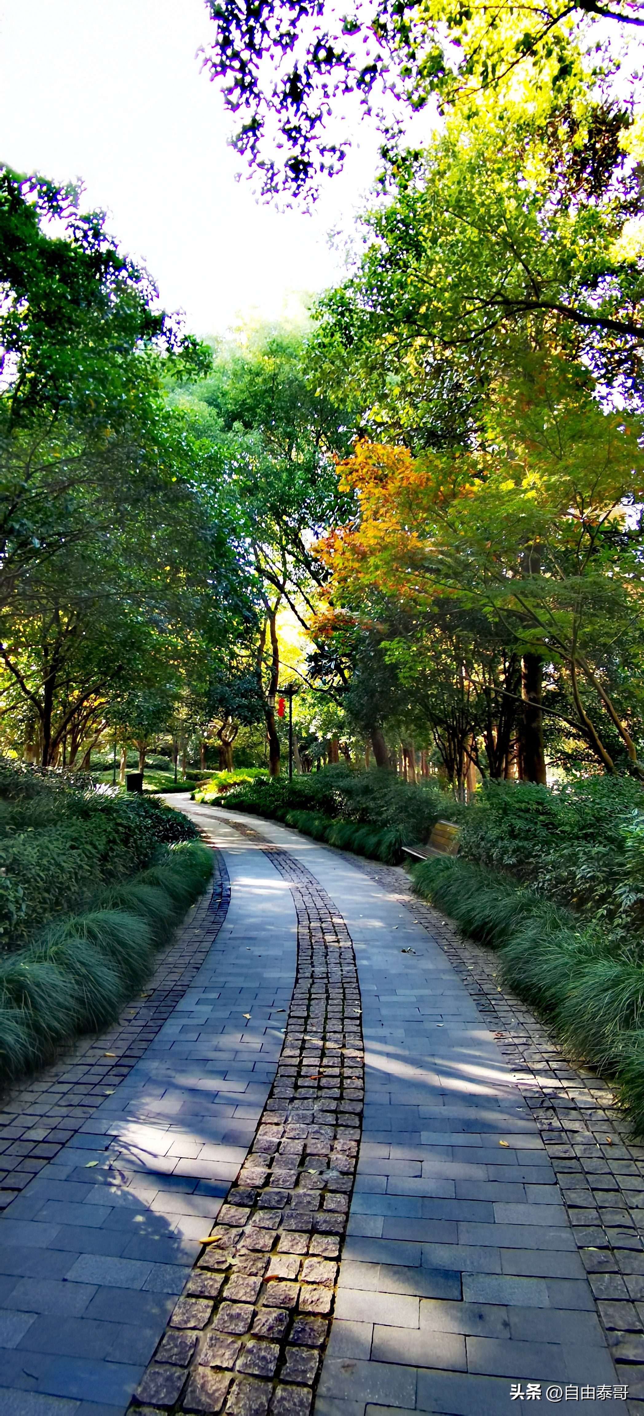 临平最大的亲水公园,临平最好公园排名