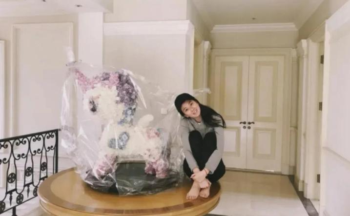 明星有多富华晨宇家里有矿,华晨宇家有多富有