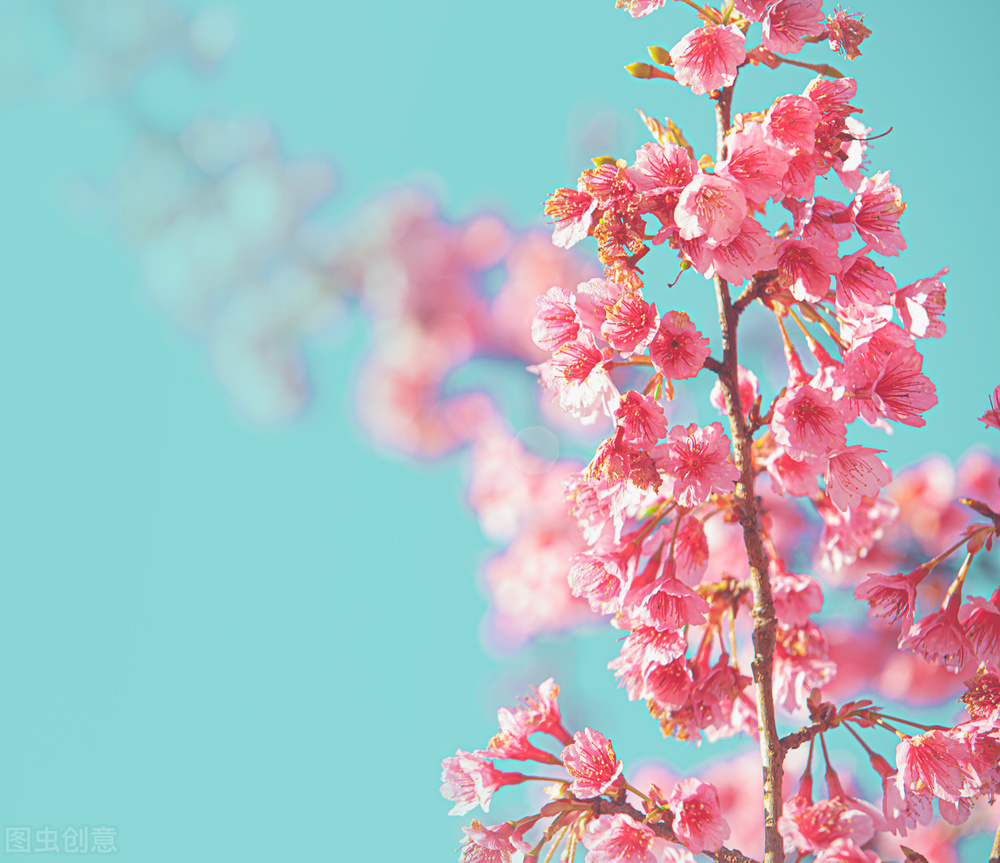 保持好身材的100个小技巧,保持好身材的饮食习惯