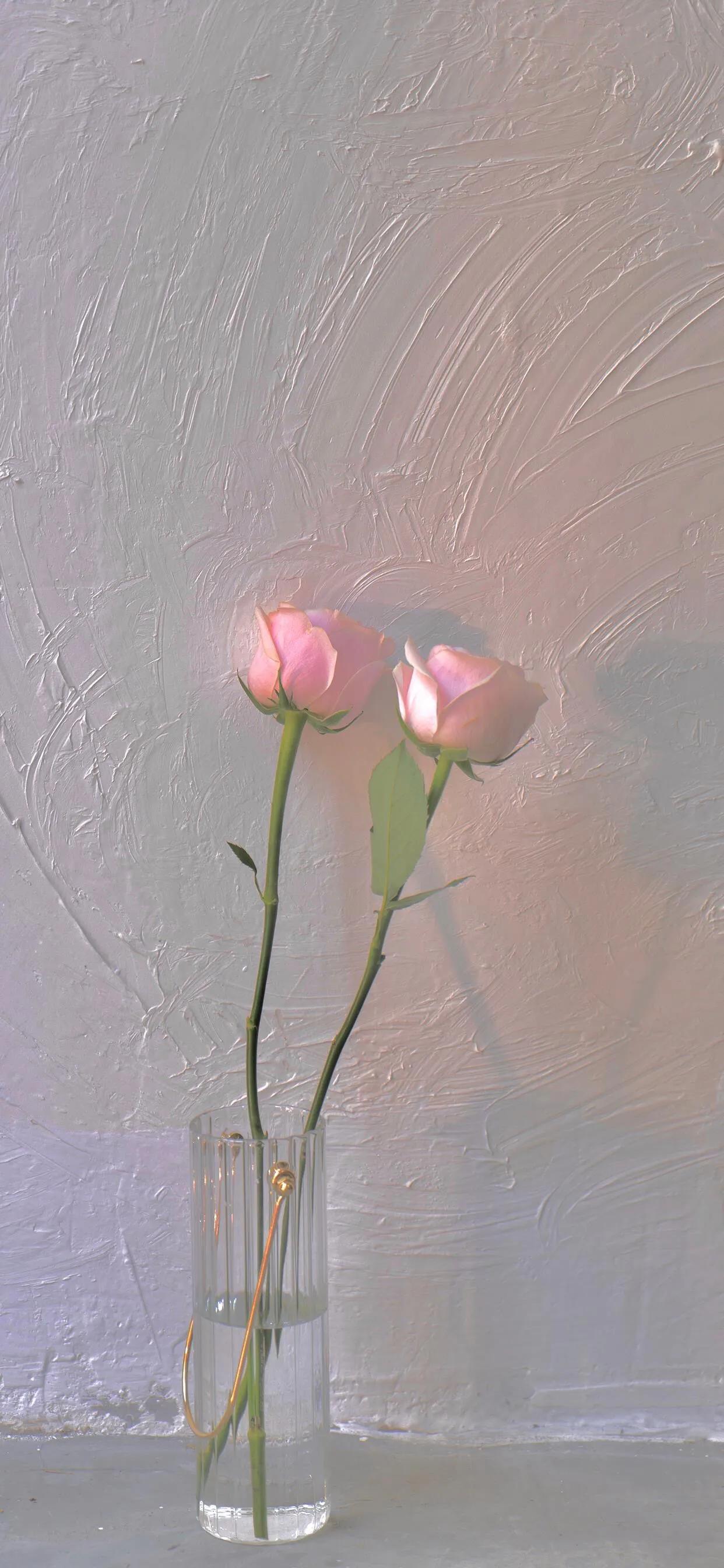 玫瑰壁纸唯美伤感,壁纸浪漫玫瑰