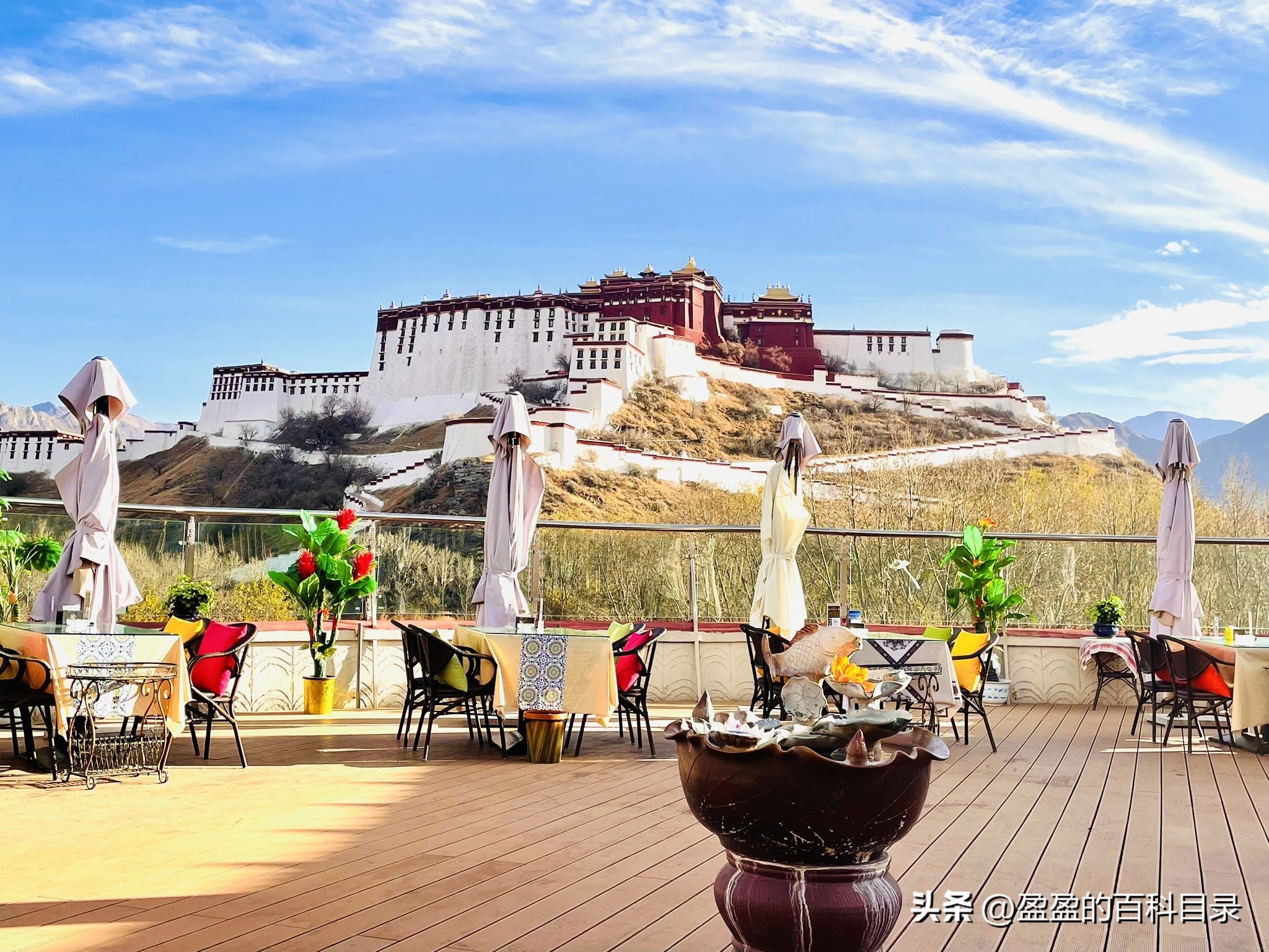 国内适合旅行结婚,有哪些适合旅行结婚的国家