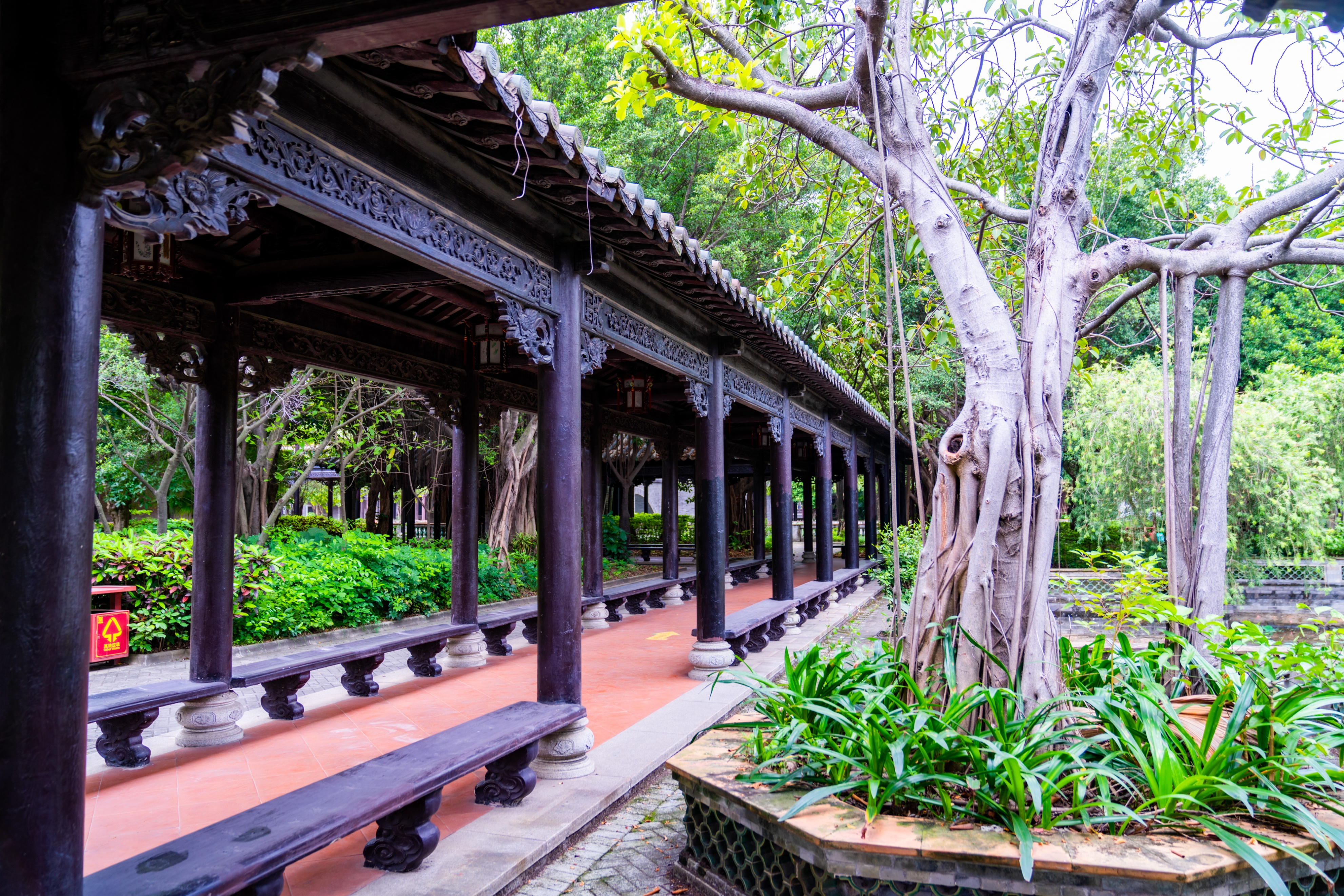 粤晖园国庆游,粤晖园自驾游攻略