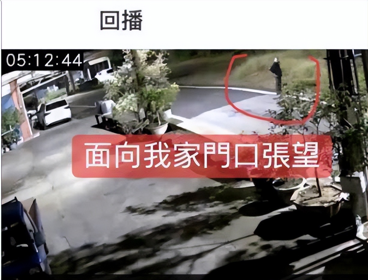 狗狗半夜狂吠被斥责，隔天回放视频感动，妈妈错怪你们了！