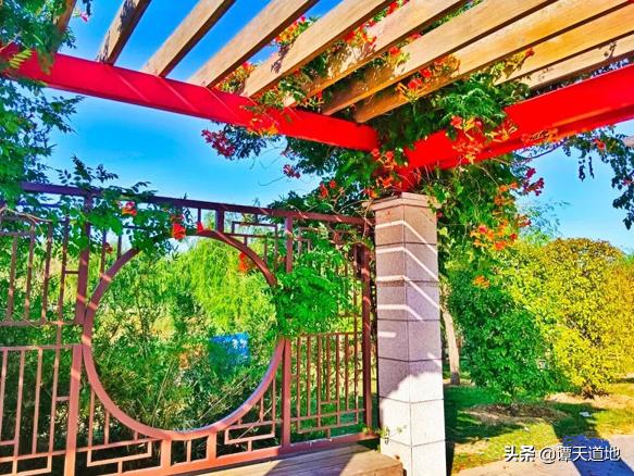 安徽有座小城,安徽有一个县叫什么名字