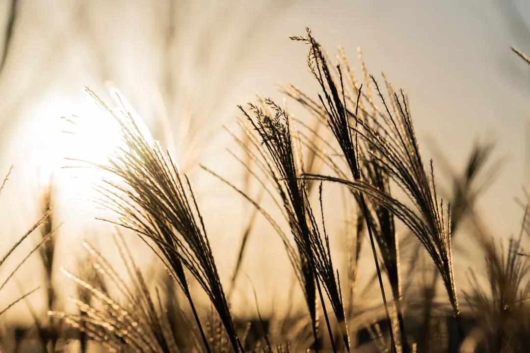 郑州一八国际学校,郑州一八学校高中咋样