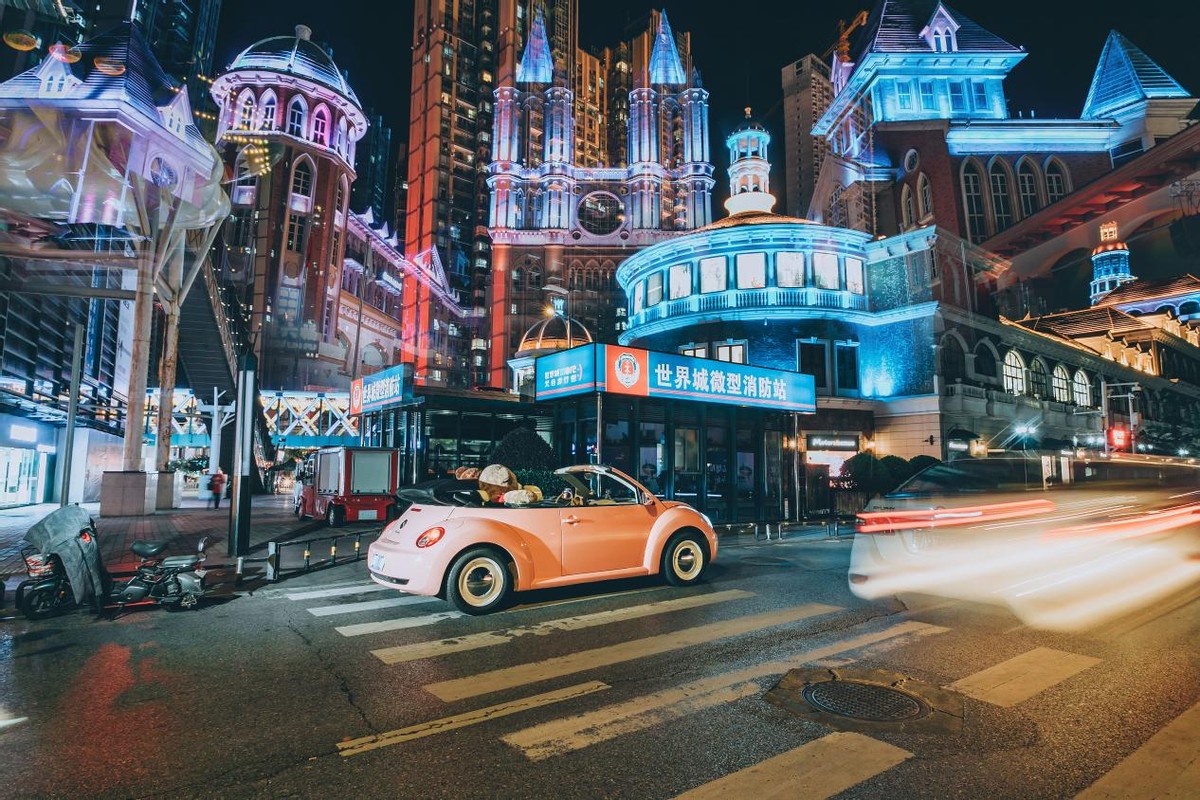 甲壳虫夜晚的图片,美丽的甲壳虫图片