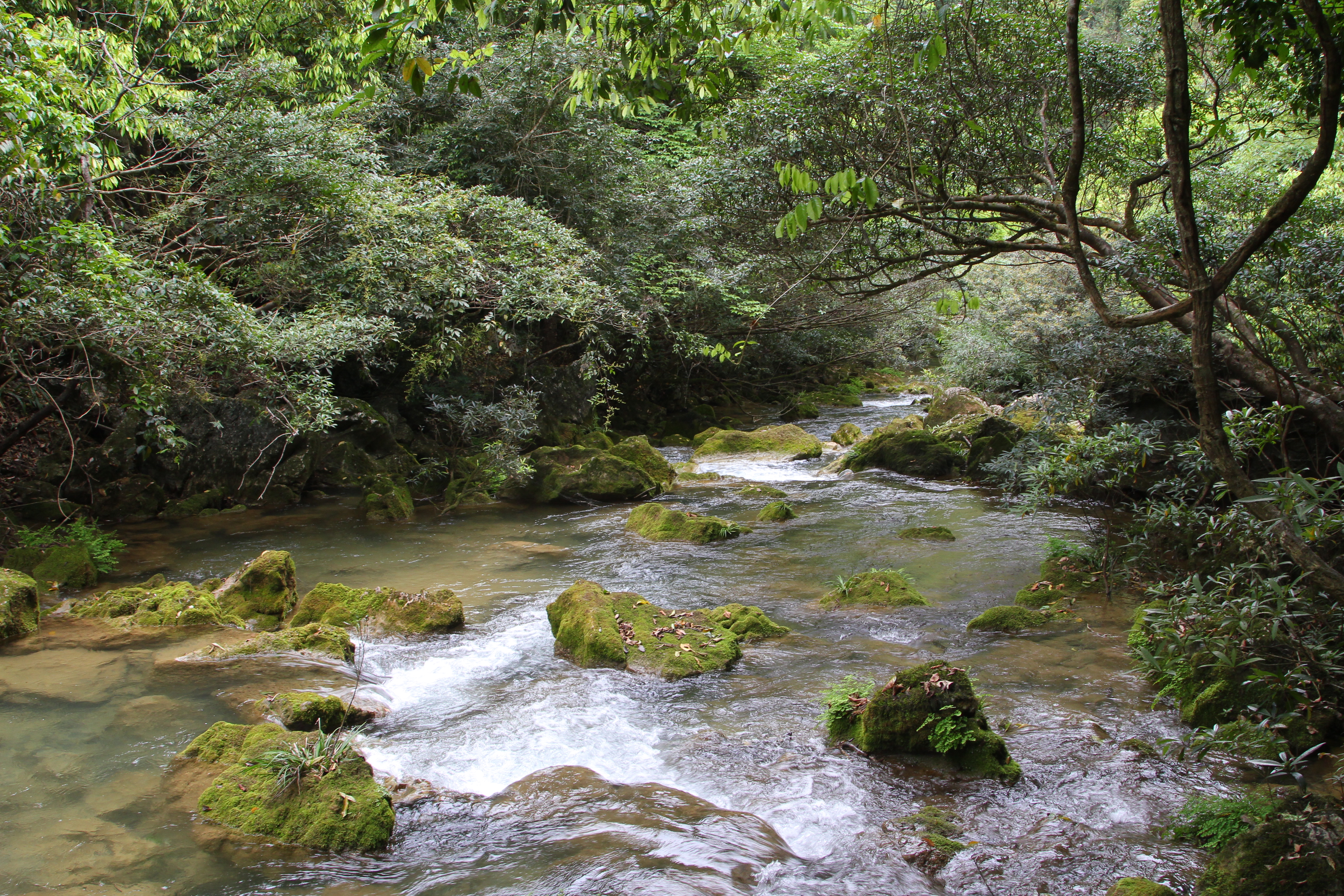 大美贵州之黄果树瀑布,贵州小七孔大七孔的景色太美了