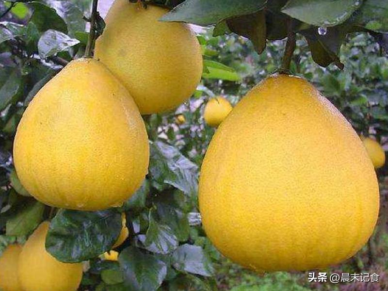 中秋节送礼是怎么送的,中秋不送月饼送什么给客户