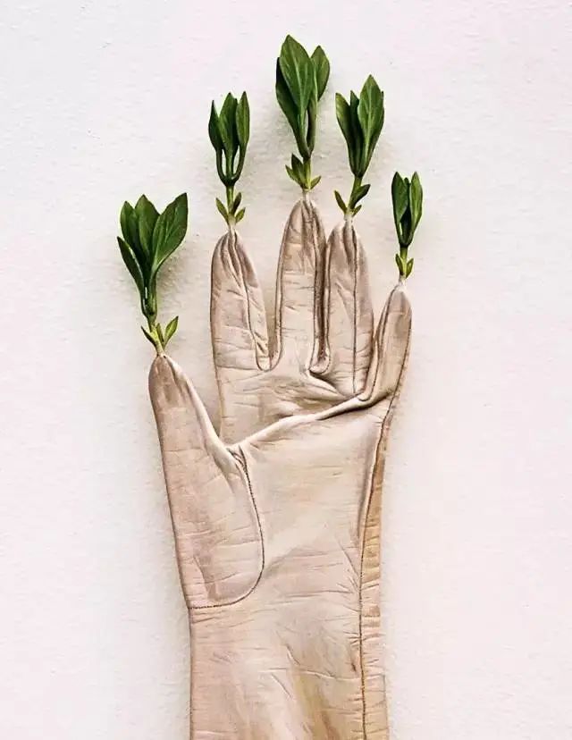 鑰佷汉闆曞鎯婅壋涓栦汉,鑰佸厛鐢熼洉濉戜綔鍝佹璧忓浘