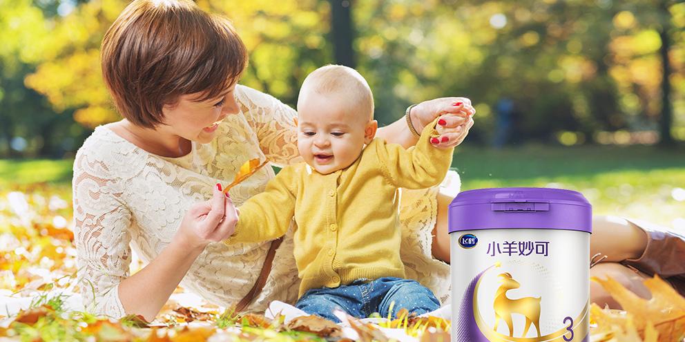 羊奶性价比最高的是哪款奶粉,婴幼儿奶粉口碑最好的前十名羊奶