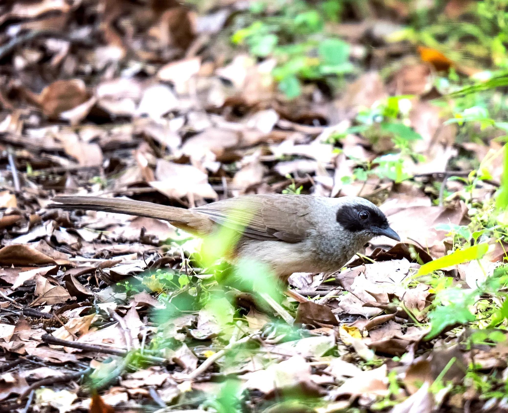 上海国际汽车城安亭,上海市嘉定区安亭国际汽车城
