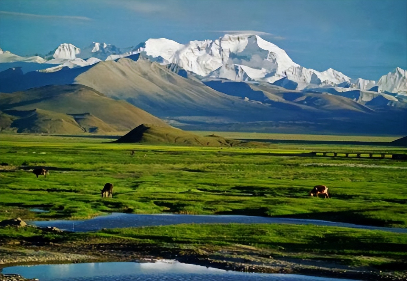 歌手李娜因何原因出家,歌手李娜为什么要出家