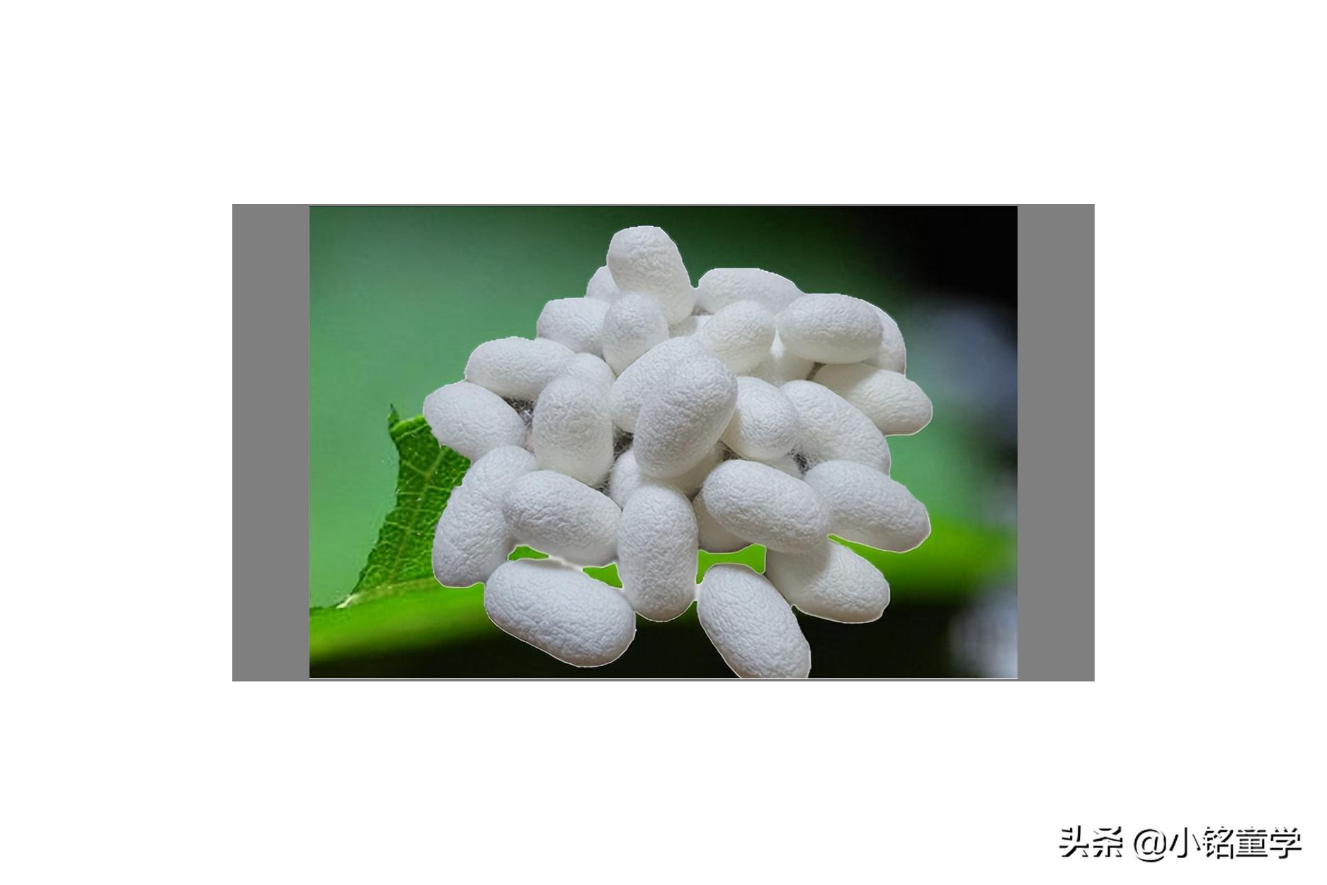 如何区别真假真丝,怎么辨别真丝枕套真伪